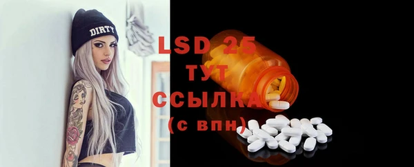 PSILOCYBIN Алзамай