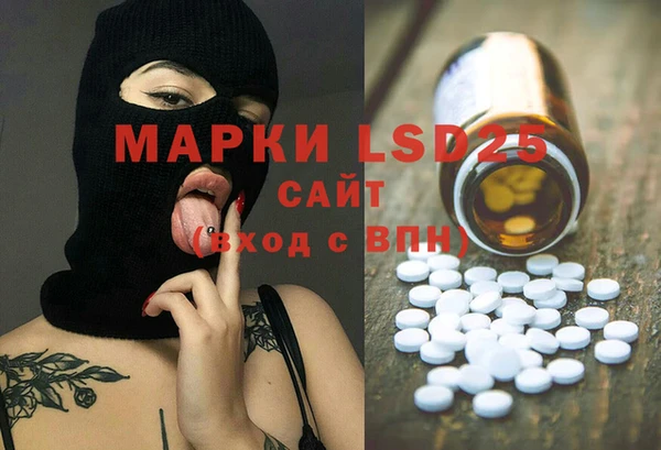 PSILOCYBIN Алзамай