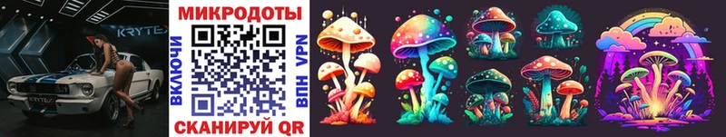 купить блэк спрут как войти Галлюциногенные грибы Psilocybine cubensis Данков